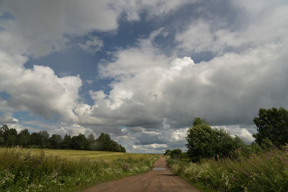 Фотография автора Olga Alekseeva