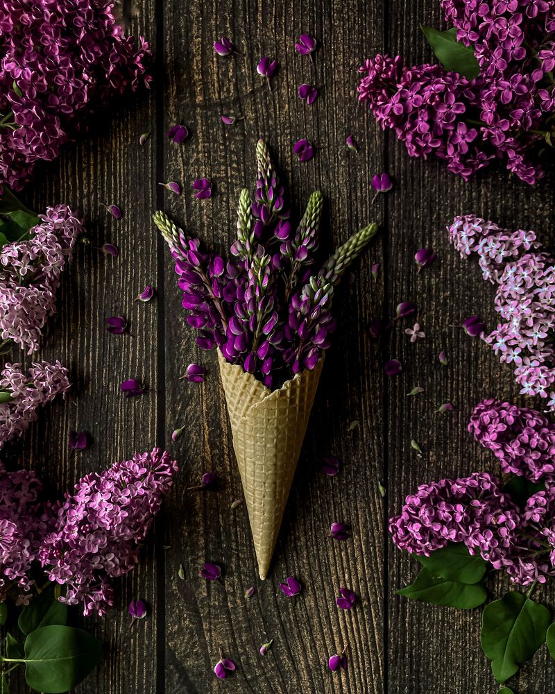 Photograph by Алла Творогова