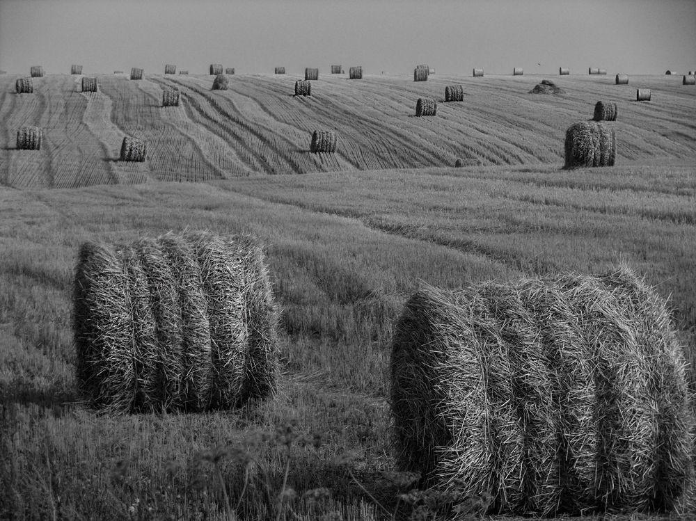 Photograph by Виктор Карпухин