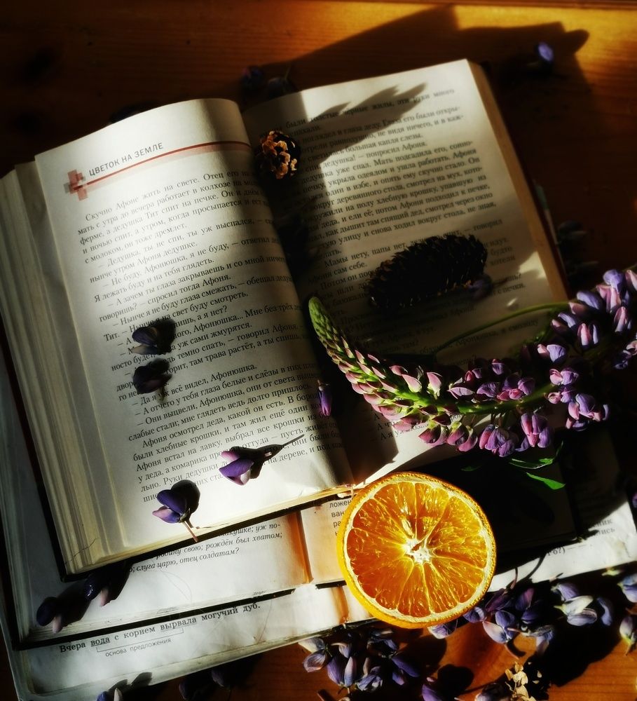 Photograph by Анна Брылева