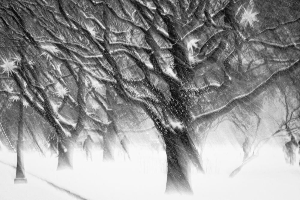 Photograph by Лазарев Евгений