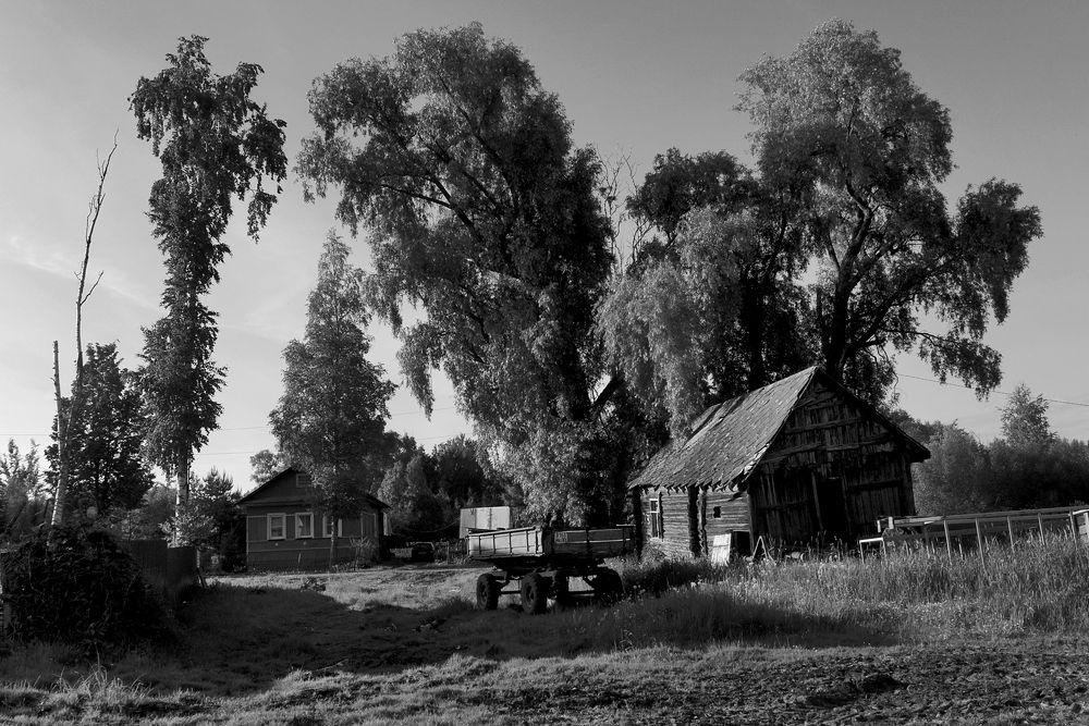 Деревня Заболотье 005