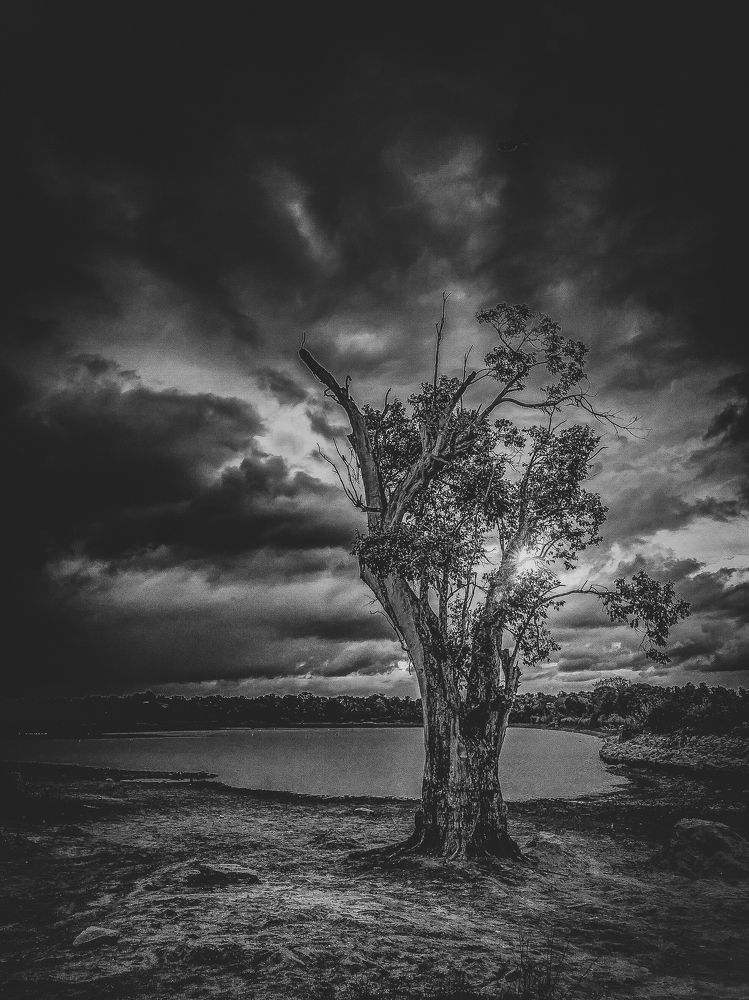 Photograph by Hewage K-vin R