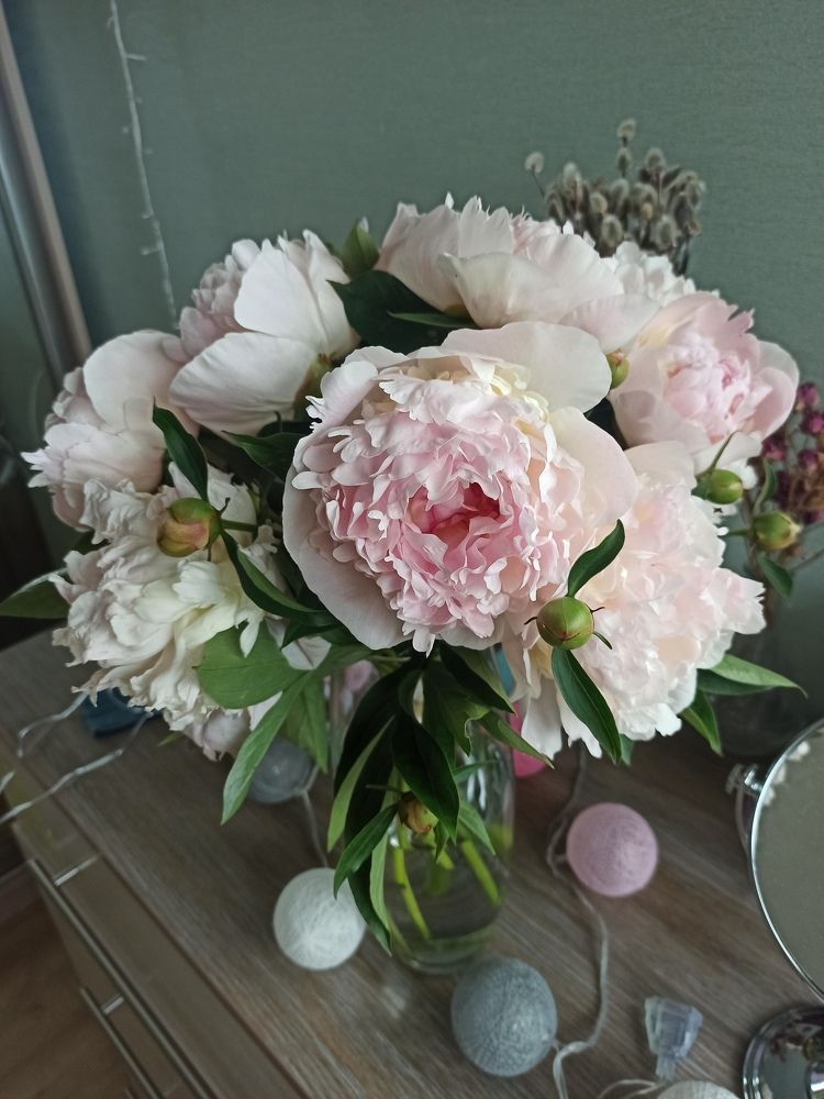 Photograph by Шуляк Екатерина