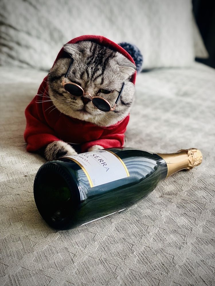 Photograph by Evgeniia Heißenhuber