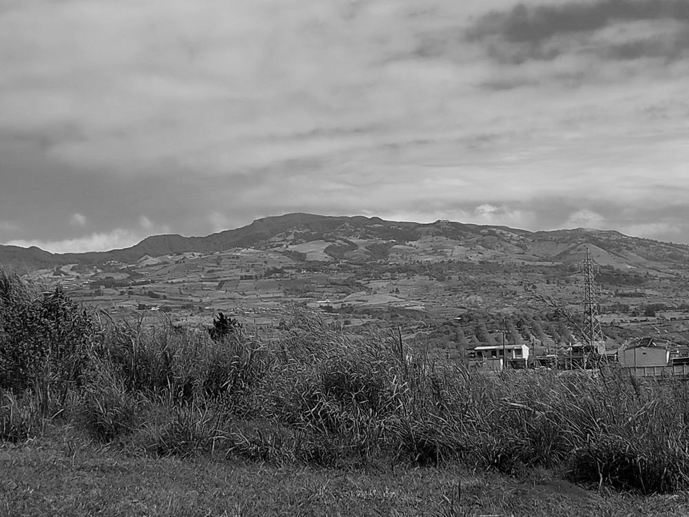 Naturaleza en Blanco y Negro