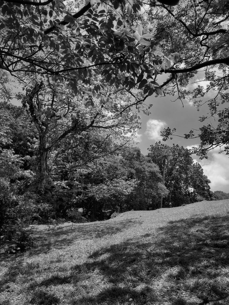 Photograph by Virginia Azocar