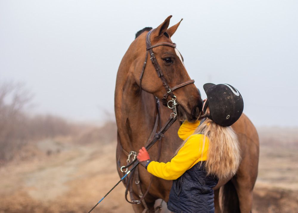 Фотография автора Надежда Порываева