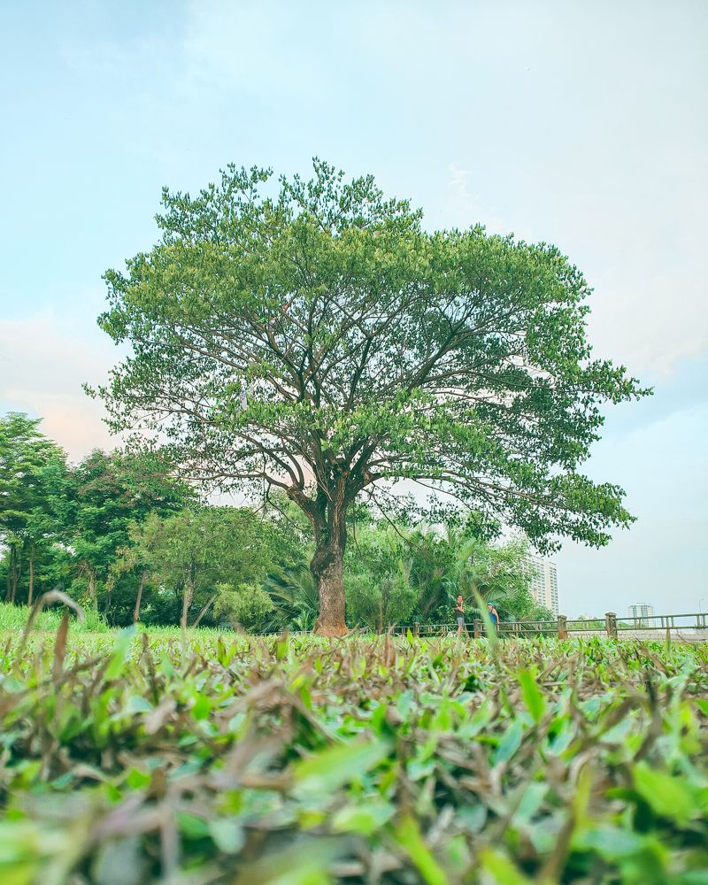 Tâm hồn của bạn