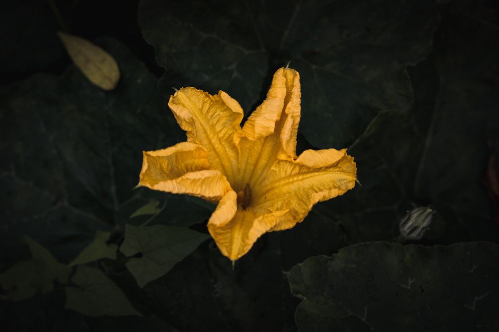 Photograph by Mostafa Mortazavi