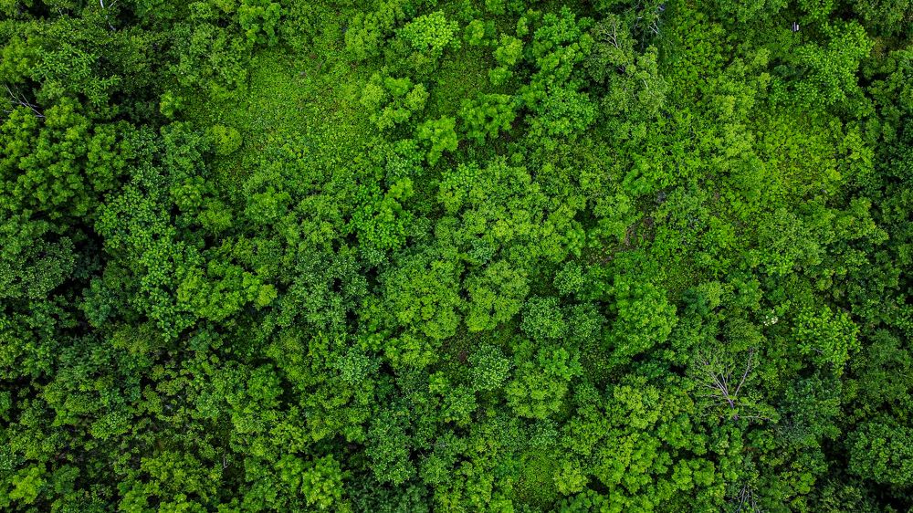 Photograph by Валентин Кольцов