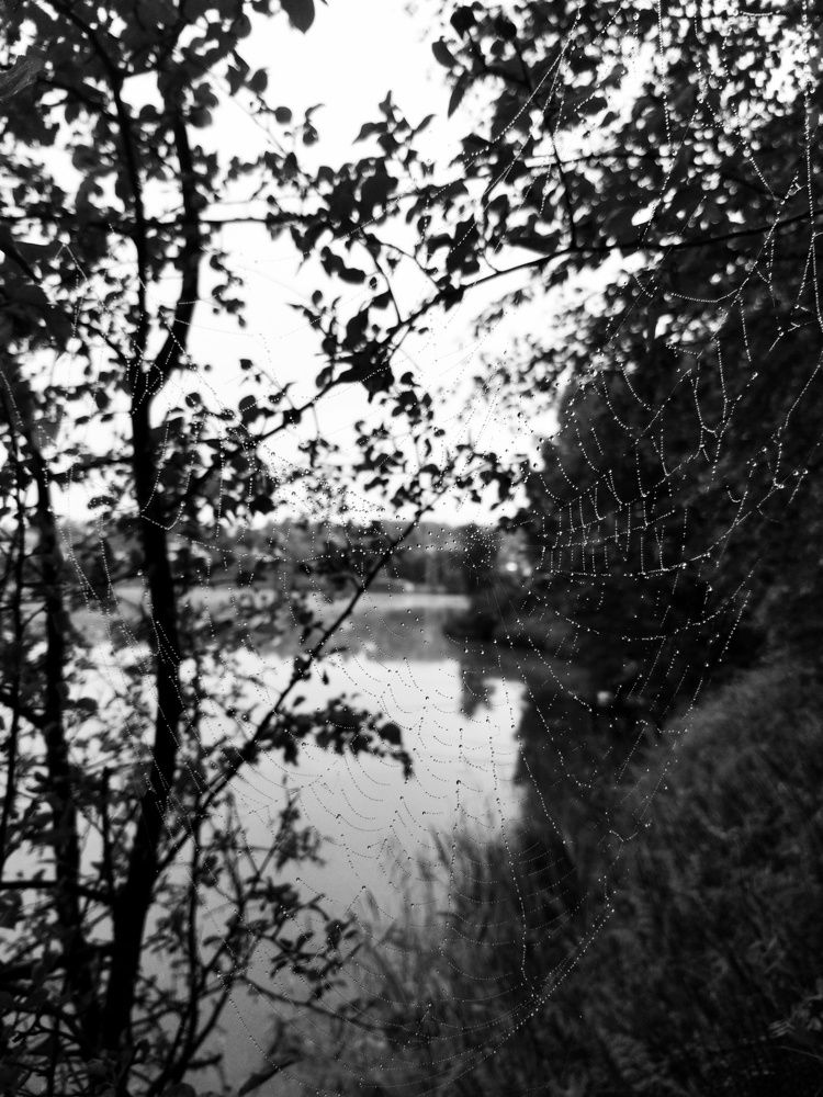 Photograph by Михаил Денисенко