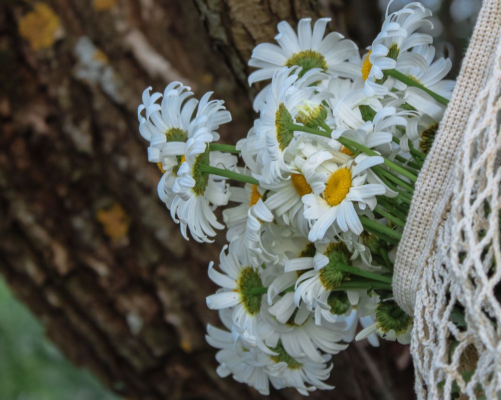 Photograph by Анна