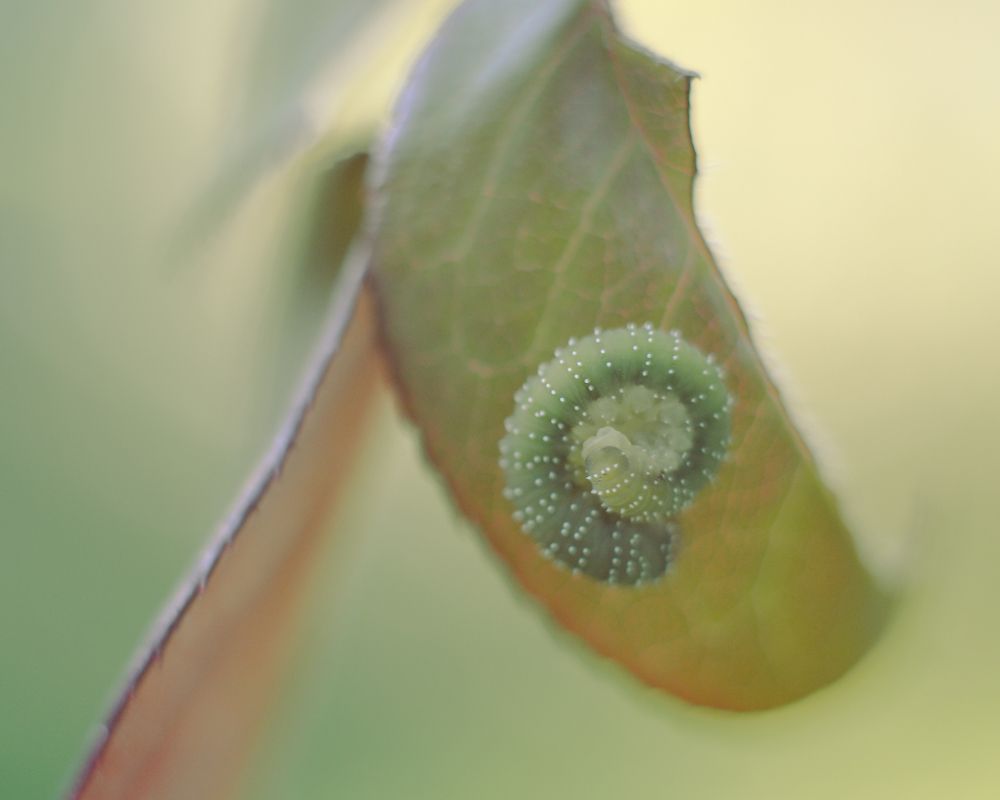 Photograph by Евгения Синкина