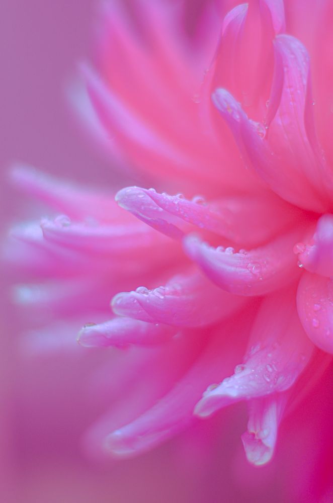 Photograph by Евгения Синкина