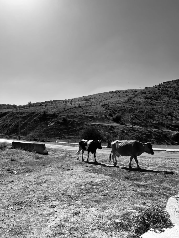 Фотография автора София