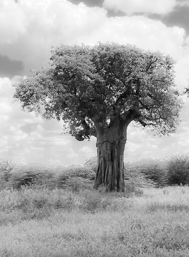 Photograph by Ольга Зуева