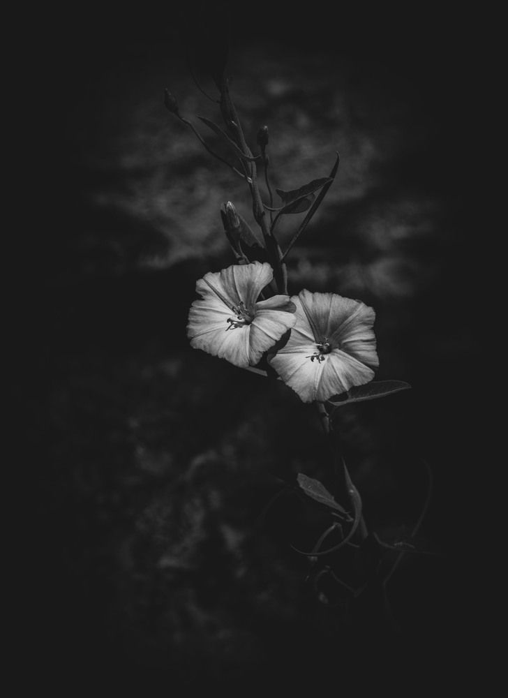 Photograph by Andre Beygijani