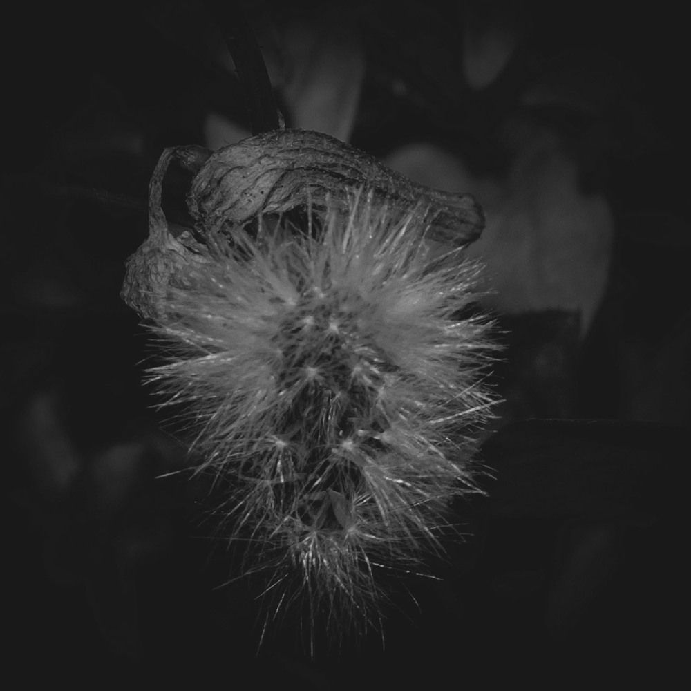 Photograph by Andre Beygijani