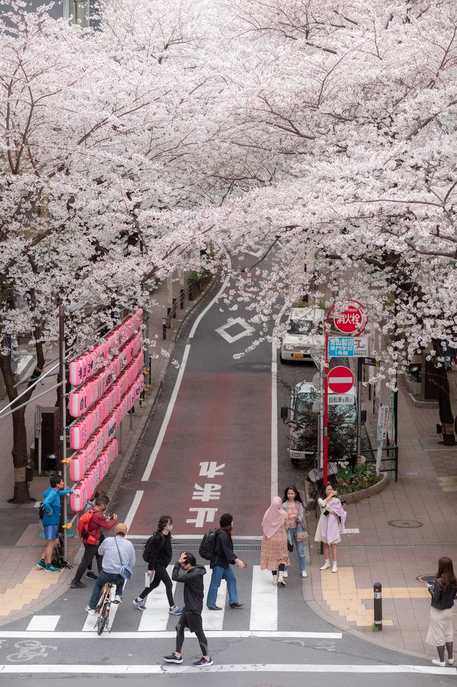 Photograph by Stephanie Vargas