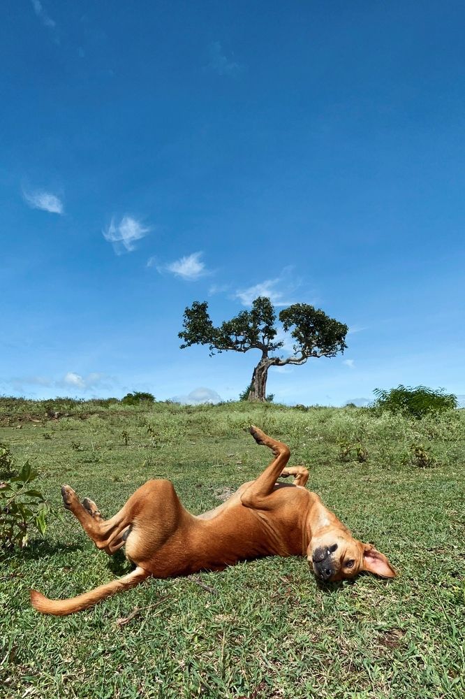 Photograph by Naveenraj Gowthaman