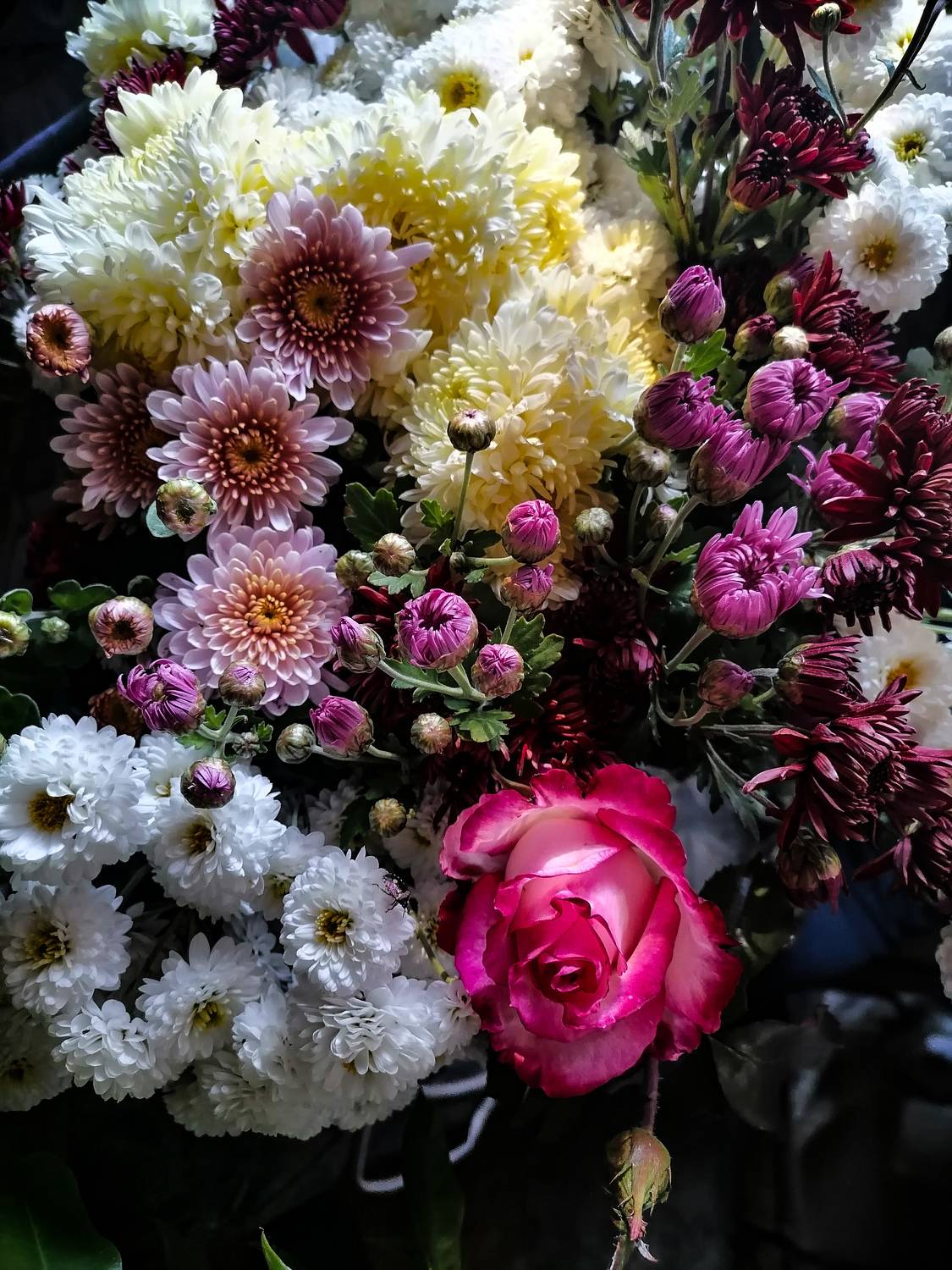 Photo #7815132