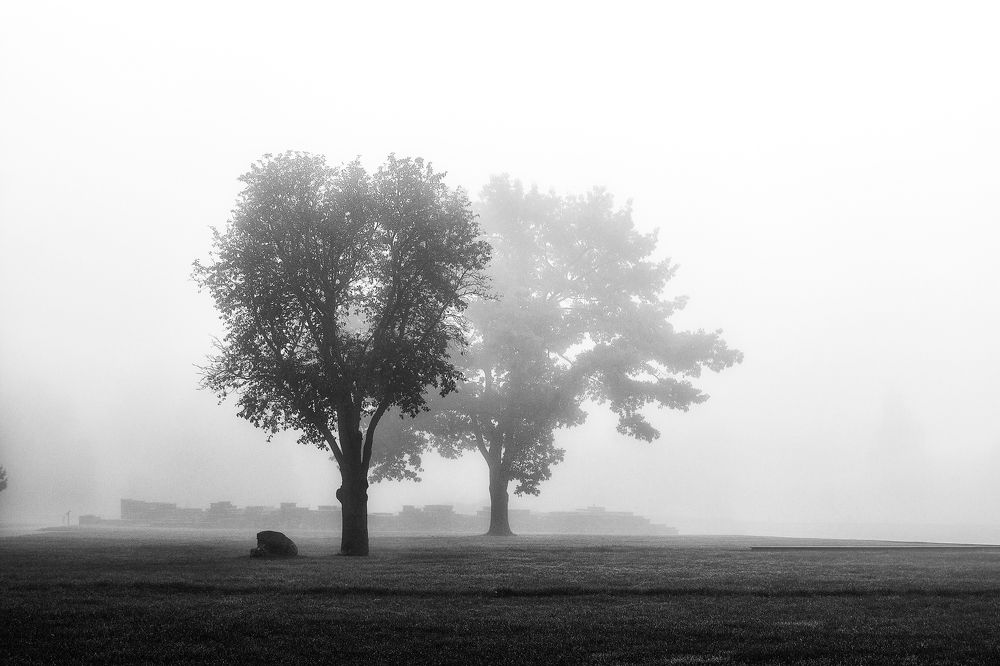 Photograph by Елена Стещенко