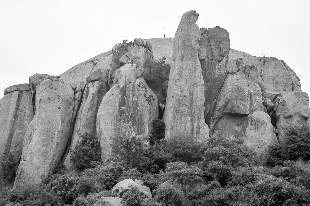 Photograph by VISHRANTH V