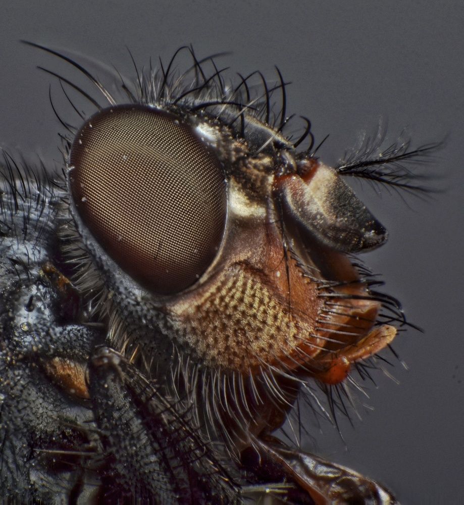 Photograph by  Hassan