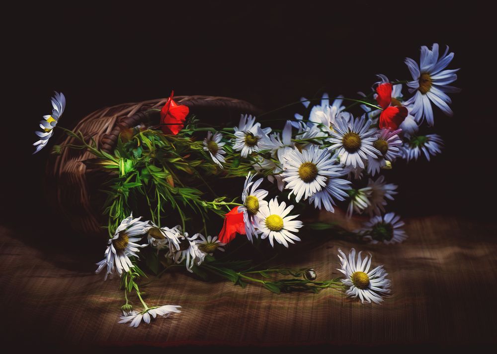 Photograph by Margarita