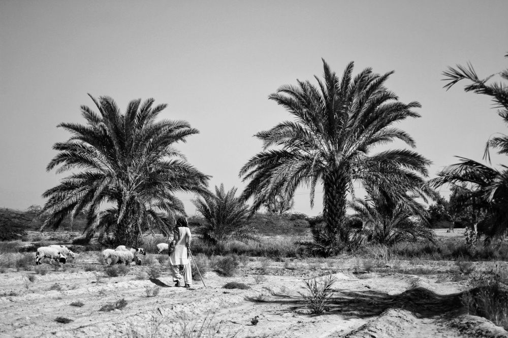 Photograph by Meer Click Media