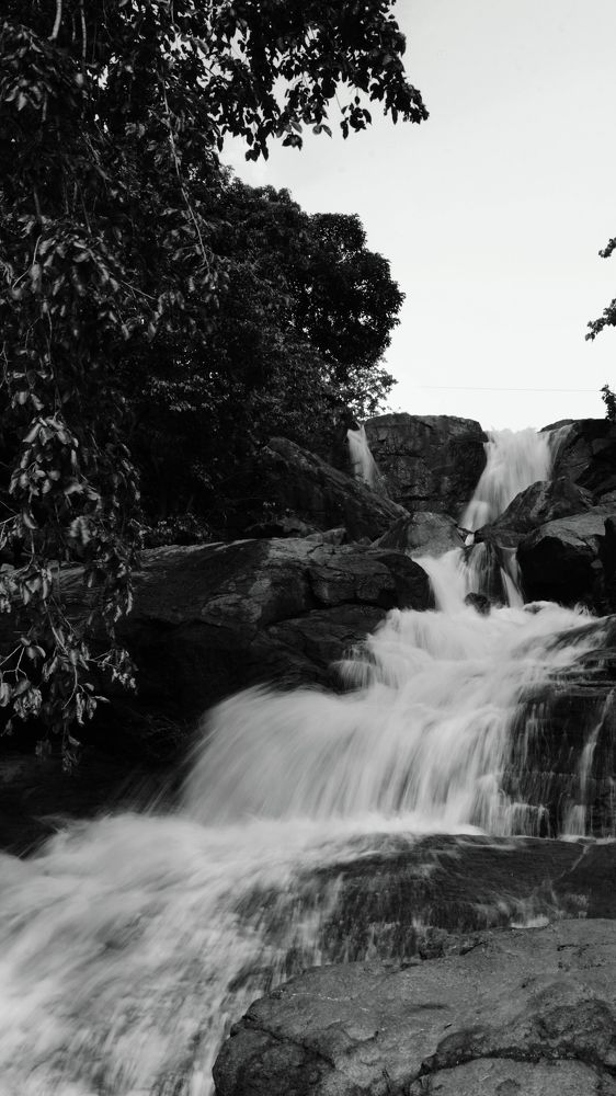 Photograph by Patel Rudra