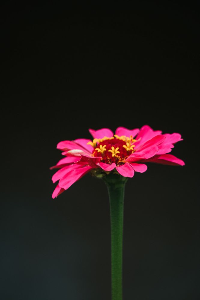 Photograph by Нежданна Казаченко