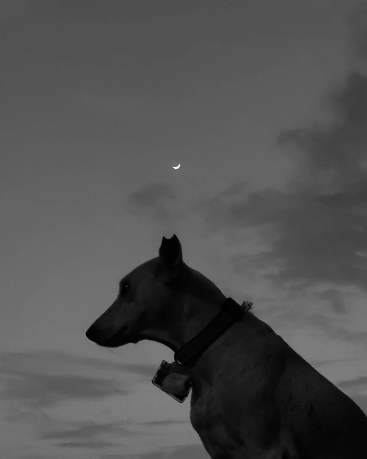 Crescent Lone