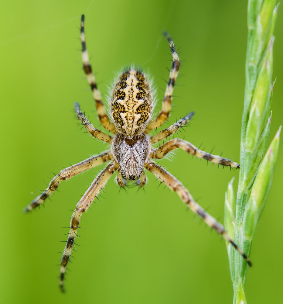 Photograph by Sergei Troitski