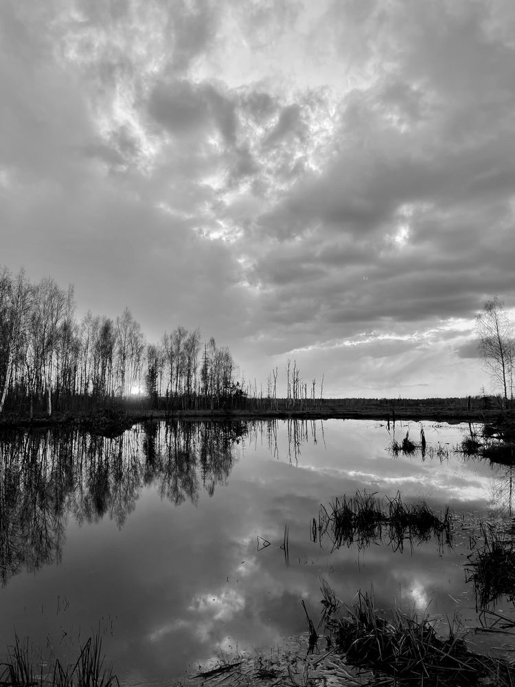 Photograph by Светлана Максимова