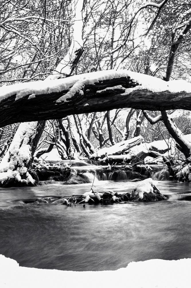 Photograph by Arash Abbaspoory