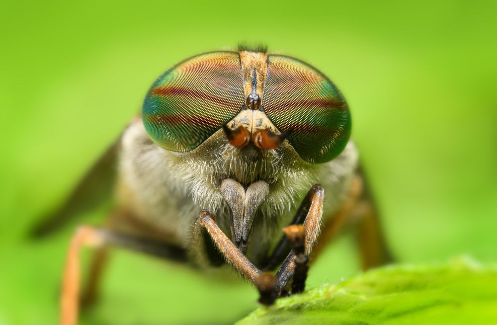 Photograph by Sergei Troitski