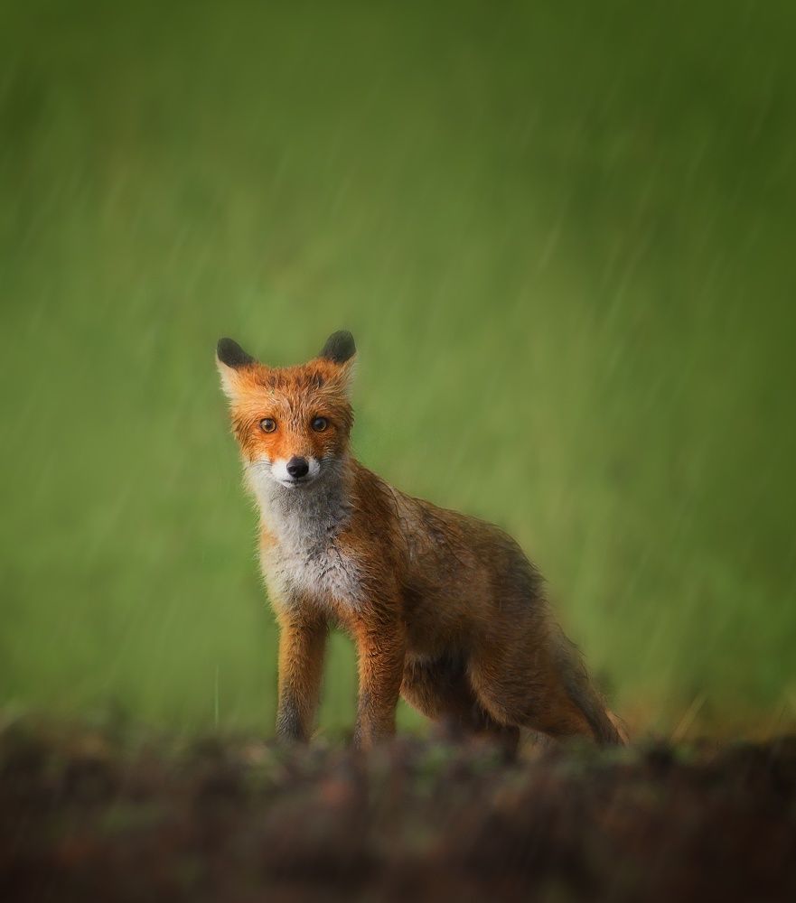 Photograph by Sergei Troitski