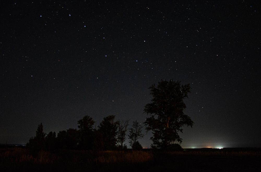 Photograph by Виталий Дрынов