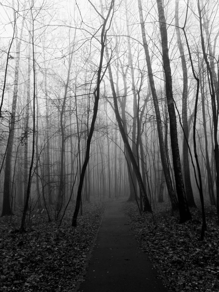 Photograph by Eлена Смирнова