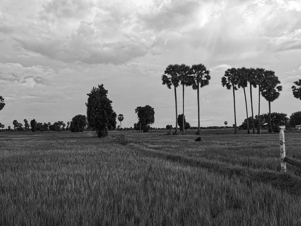 Photograph by Лия Маликова