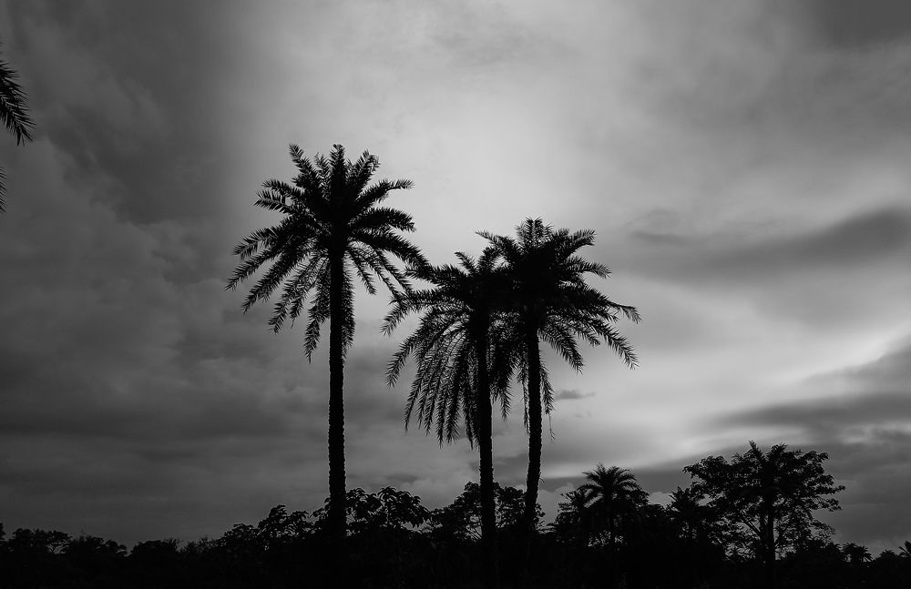 Фотография автора Aniket Layek