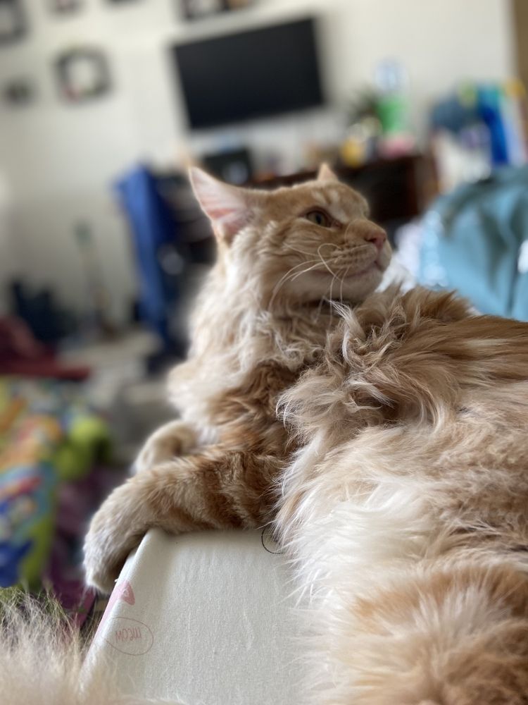 Photograph by Юлия Зеленева