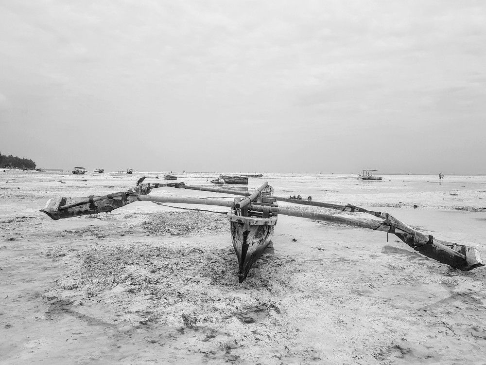 Отлив на Занзибаре