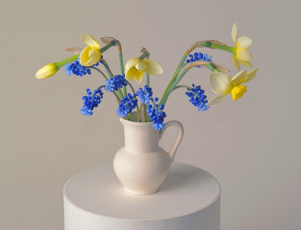 Обычный натюрморт/Ordinary still life