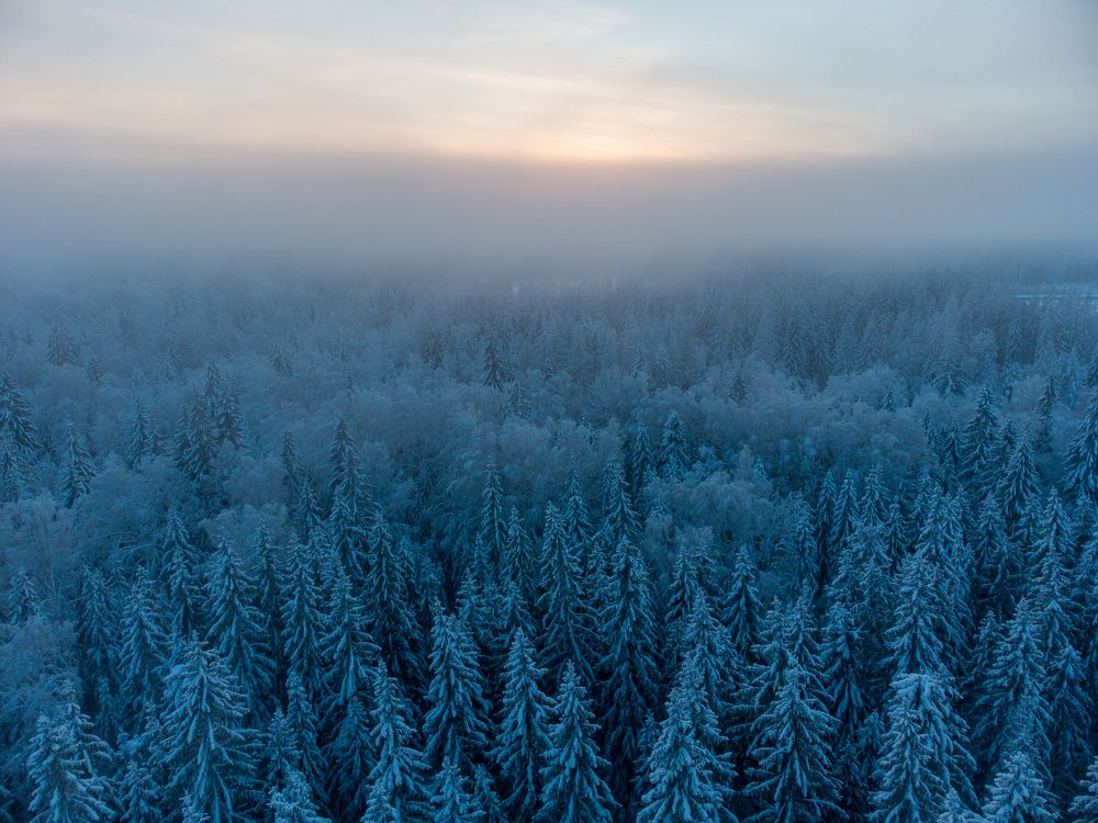 Photograph by Дмитрий Далингер