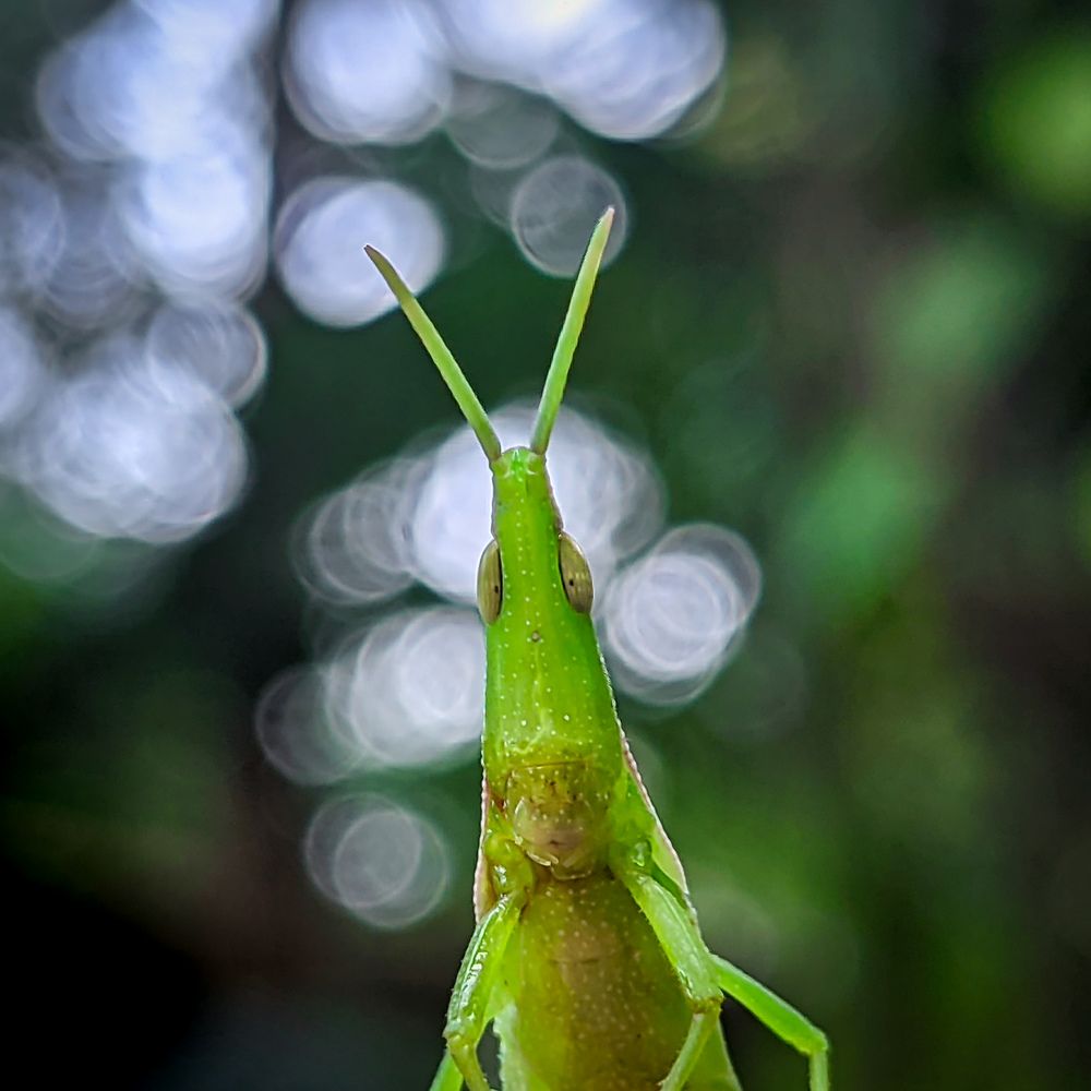 Photograph by Vaishnav K V