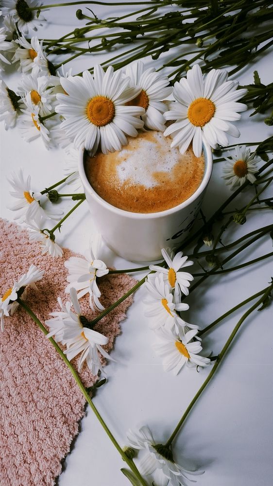 Кофе и ромашки