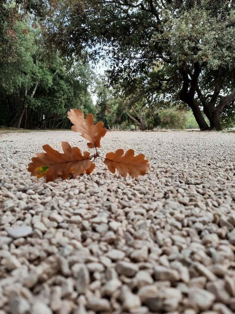 Photograph by Анна